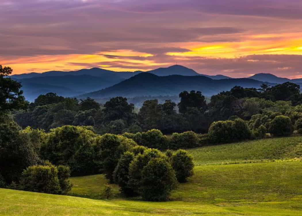 Sunset over mountain and lush grass pasture with trees